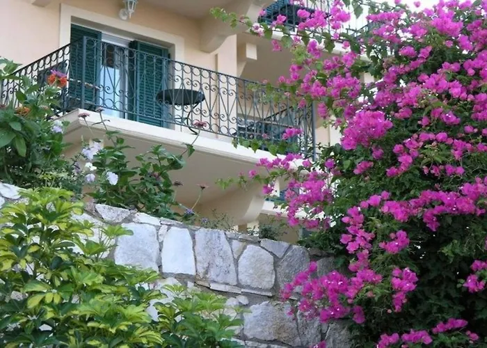 Agnantia * Matsoukata