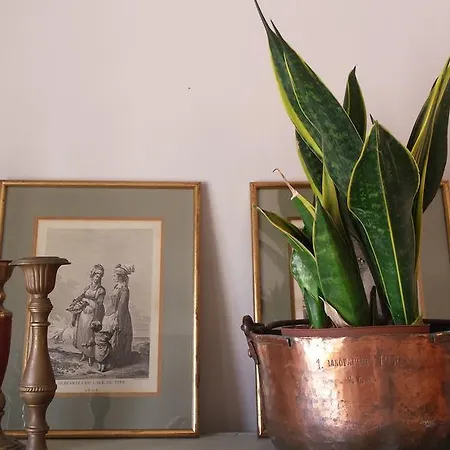 Apartament Agnantia Matsoukáta